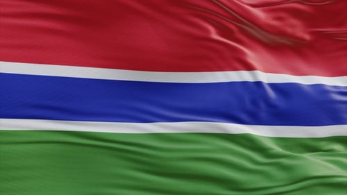 Gambia Flag Hd Loop Background