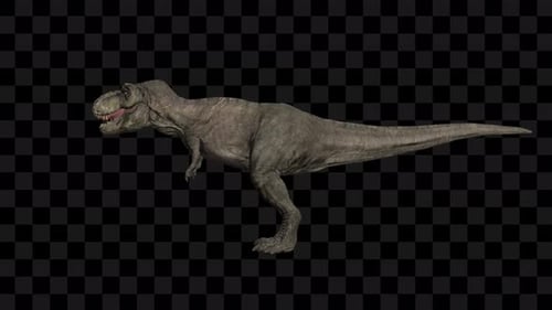 Tyrannosaure Rex