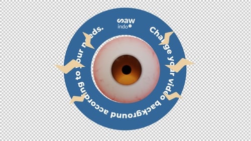 3D Animation Eye Disorders - Transparent Background Loop