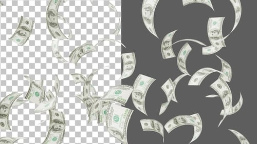 3D Money Fall | Alpha Channel