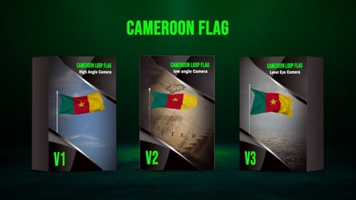 Looping Cameroon Flag Animation with 3 Camera Views