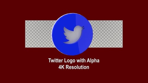 Modern 3D Rotating Twitter Social Media Icon Animation