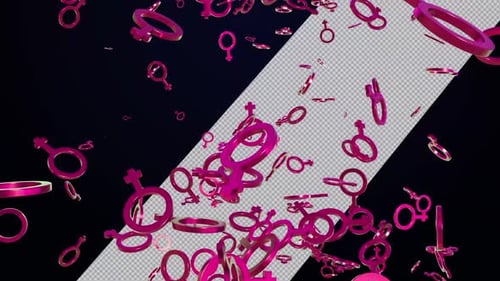 3D Pink Female Gender Symbols Falling Animation