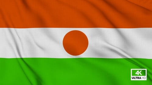 Realistic Waving Flag of Niger Seamless Loop