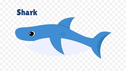 Flat Design Animated Cartoon Shark Character Loop