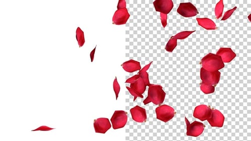 Flying Rose Petals V4