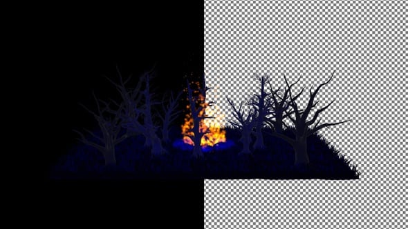 Night Scary Scene with Bonfire Flames, Alpha Channel, Exclusive, 3D ...