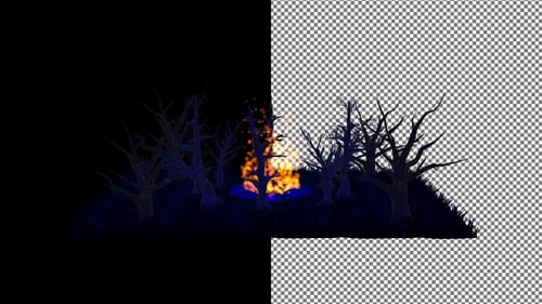 Night Scary Scene with Bonfire Flames, Alpha Channel, Exclusive, 3D Render