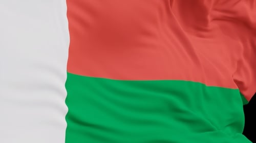 Madagascar National Flag Realistic Waving Vertical Animation