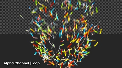 Confetti Overlay Animation | Alpha Channel