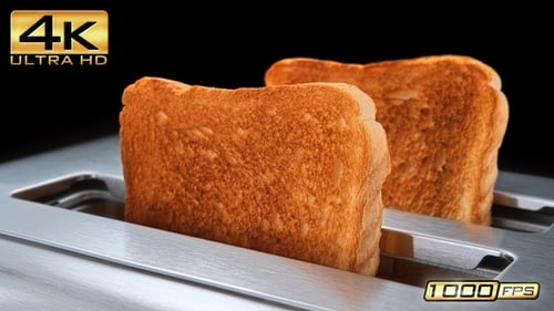 Slices of Toast Popping Out of Toaster