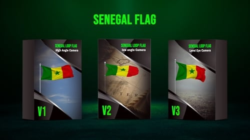 Senegal Flag Waving Animation with Three Camera Angles