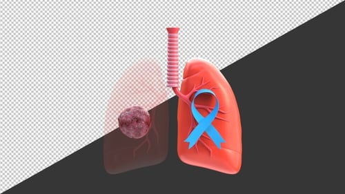 3D Lung Cancer Awareness | Alpha Channel