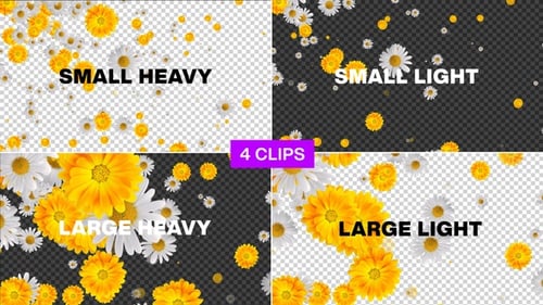 Flowers Falling Pack Alpha Loop