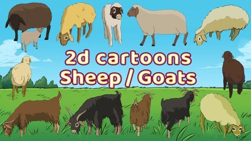 2D cartoon sheep & goat pack animations with alpha channel