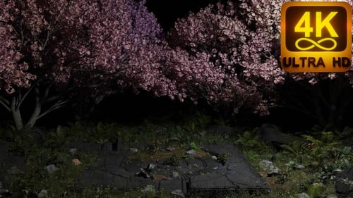 120 BPM VJ seamless loop. Crafted for VJs and spiritual sessions, it's a calming journey of nature