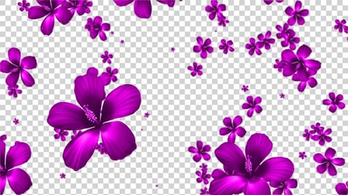 Flor rosa cayendo Alpha V4