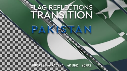 Sleek Countdown and Content Reveal Animation