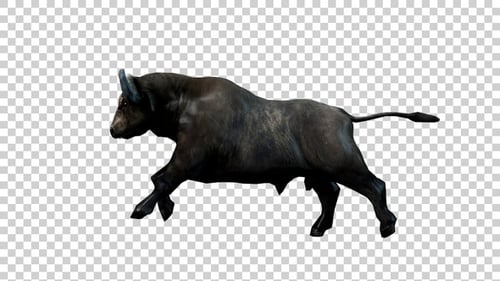 Buffalo Run Side View