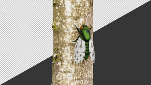 Cigale 3D sur un arbre en train de chanter | Alpha Channel