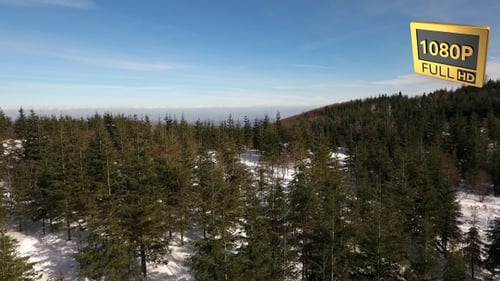 Aerial View Snowy Forest 6