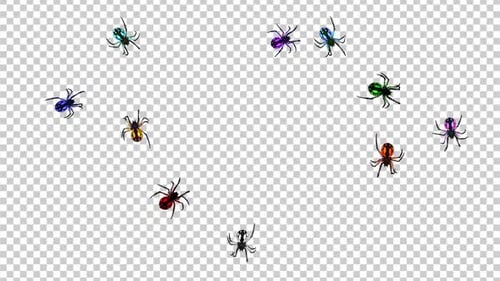 Rainbow Spiders - Swarm Running Around - Transparent Loop