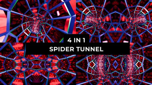 Tunnels Spider 4 en 1