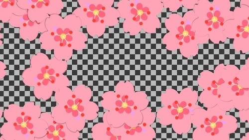 Decorative Pink Flower Transition Animation