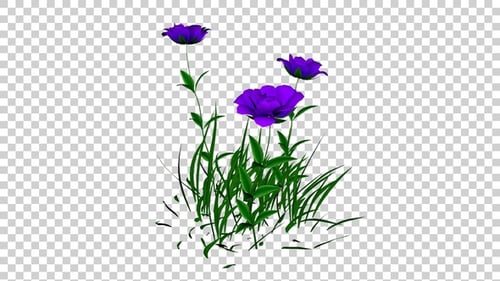Realistic Purple Flowers and Green Grass Swaying Loop