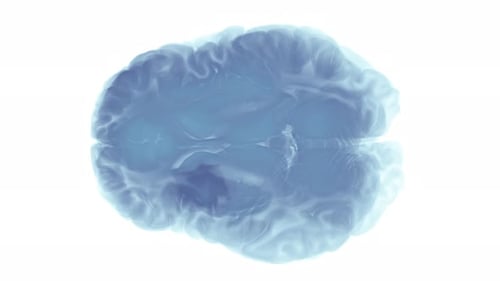 Abstract Brain Scan with Neural Activity Animation