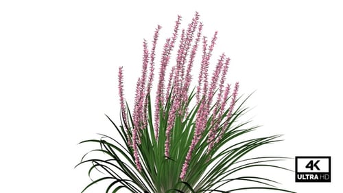 Animated Green Plant With Pink Flowers Swaying