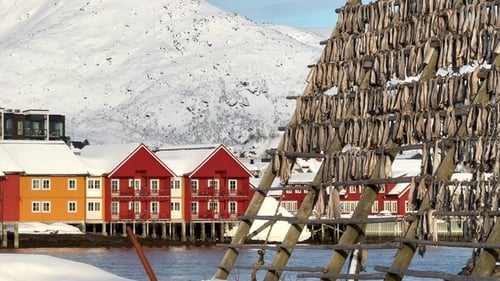 Fishing village in Norway with drying fish on racks