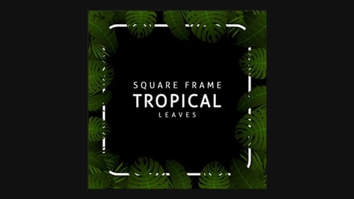 Square Frame With Tropical Leaves