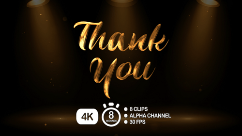Animated Golden Script 'Thank You' Kinetic Typography