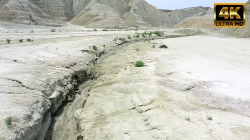 Stream Bed and Dry Land