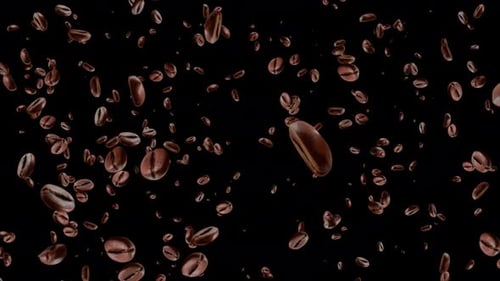 Caffeine drink, Breakfast, Aroma. 3D roasted coffee beans rotating loop Animation.