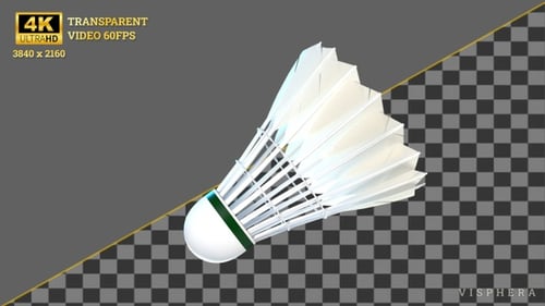 Badminton Transition Sports 4K 60fps