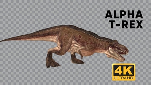 T-REX