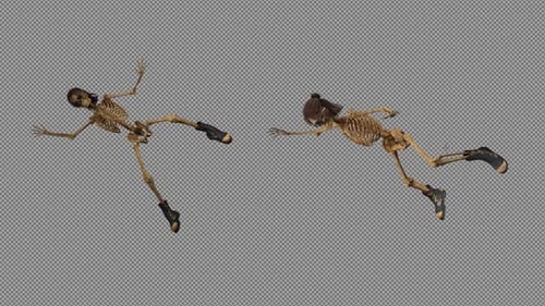 Skeleton Fall Pack