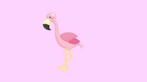 Flamingo-Tieranimation