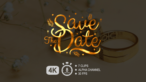 Elegant Save The Date Lettering Animation with Gold Accents