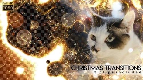 Transições de Natal