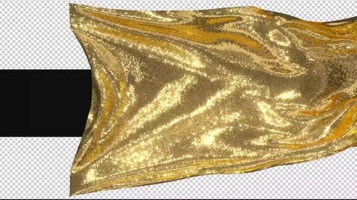 Fluid Gold Sequin Reveal Transition