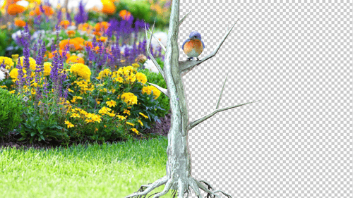 Östlicher Bluebird steht auf einem Baum