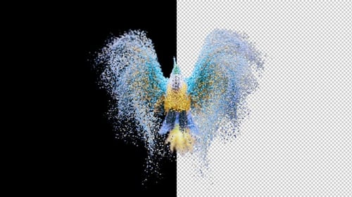 Bird Of Color Particles Flaps Its Wings On Alpha Loop