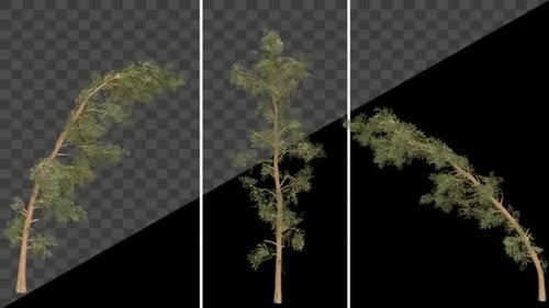Collection of Animated Pine Trees Swaying in Wind