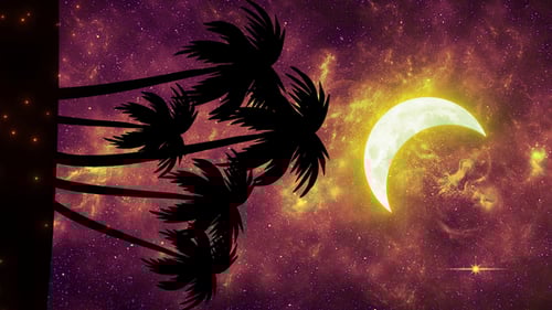 Yellow Crescent Moon Over Palm Trees Vertical Background