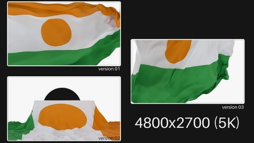 Pack Of Niger Flag On Alpha