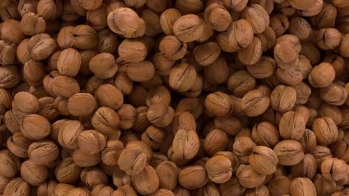 Falling Walnuts Filling Screen Transition