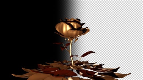Goldene Rose 2 4K